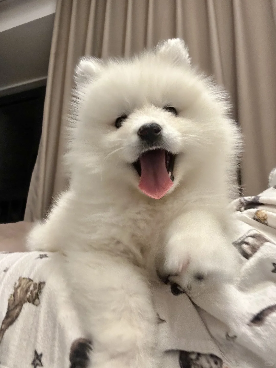 报告ee们！和舍友相处的很融洽