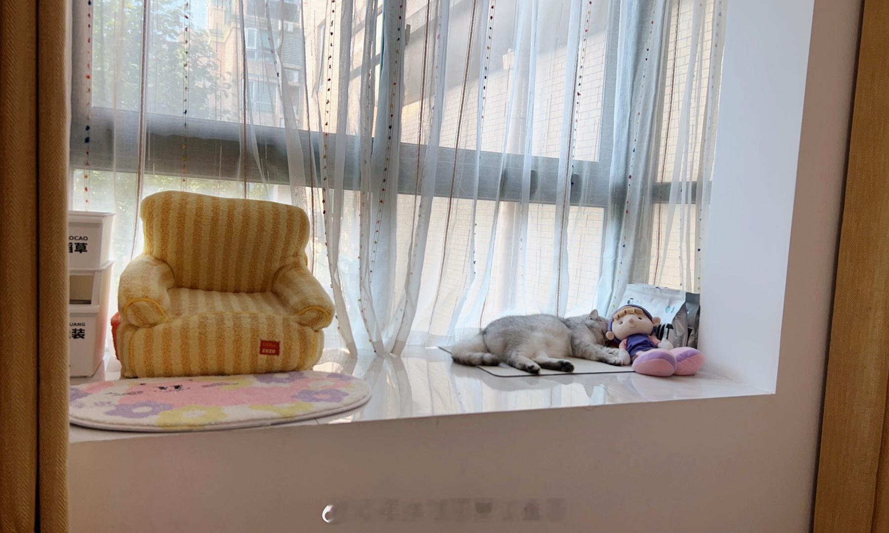 能不能送他去打工啊从白天到晚上睡得这么舒服我心里不平衡[融化]#喵趣横生# ​​