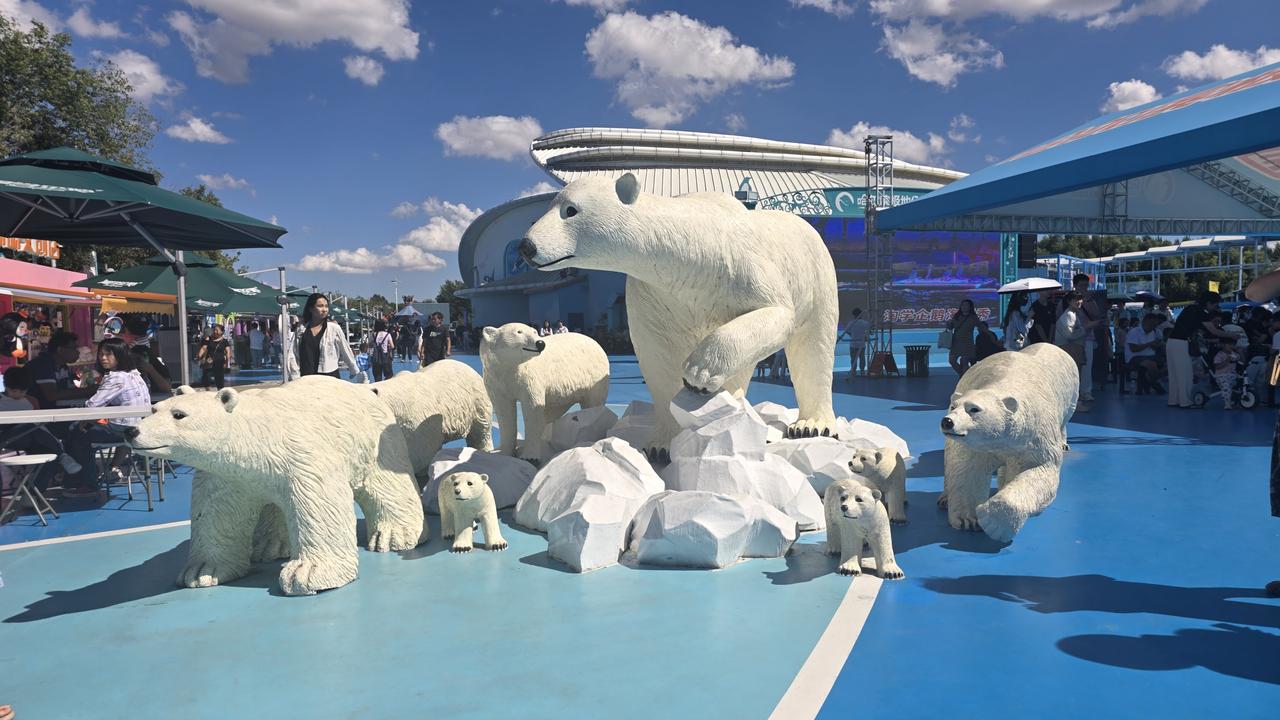 用一张图证明你来过哈尔滨哈尔滨太阳岛极地馆随拍。