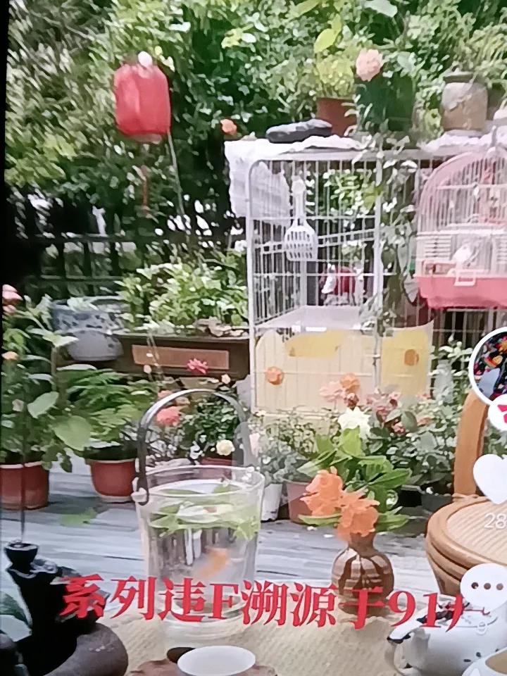 柴桑直播间的正义之声：军工造假，以假离婚套取福利，多重违法，铁证如山。户籍是国家