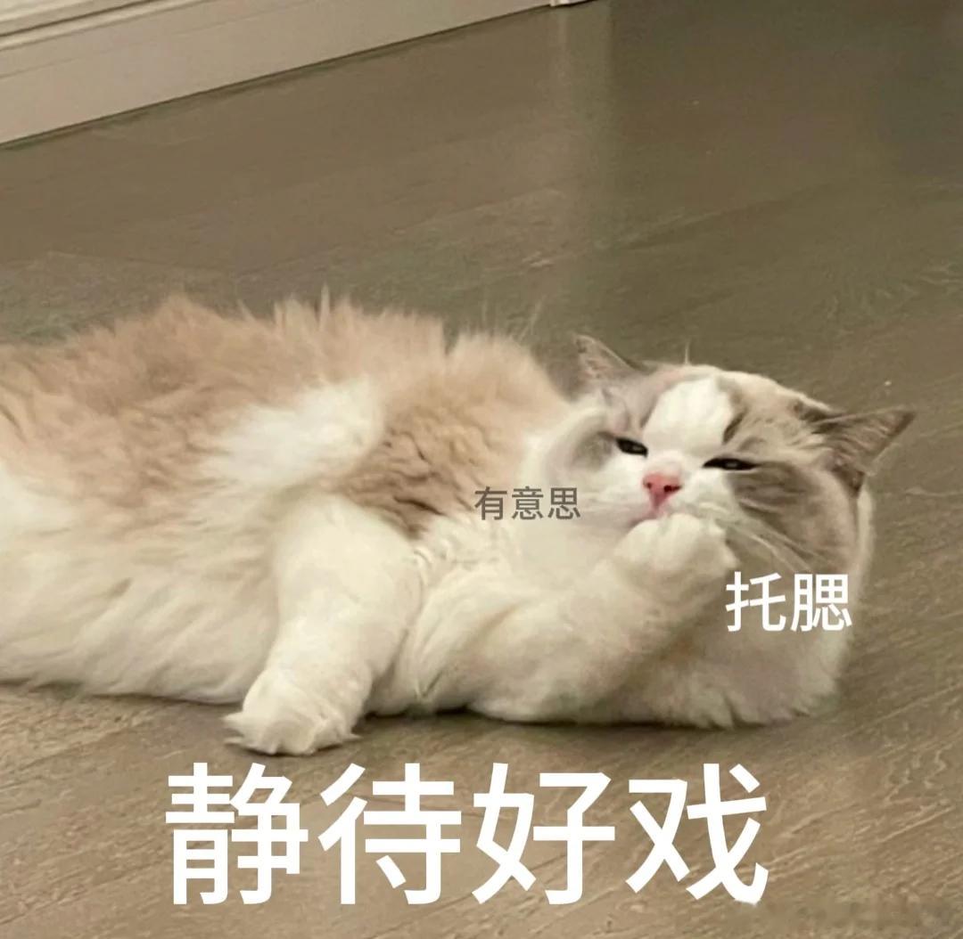 今天收月线不能太激进，太激进容易挨打。今天场外的单子也不用太多，多看少东！反正开