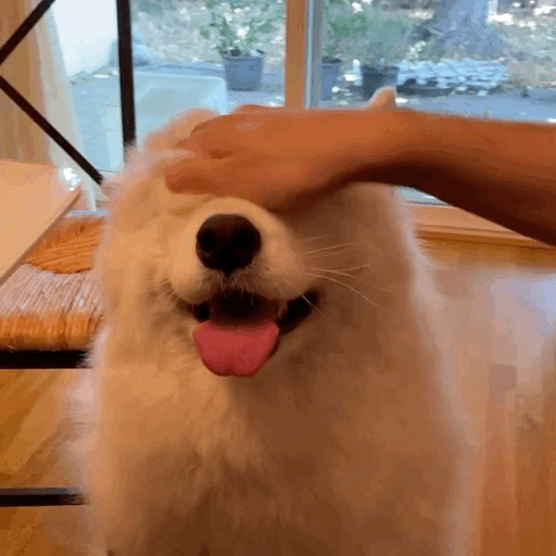 ᵎ(•̀㉨•́)و ̑̑ 熊熊的十月闲置帖双十一快到啦！这条给姐妹们清闲置回回血