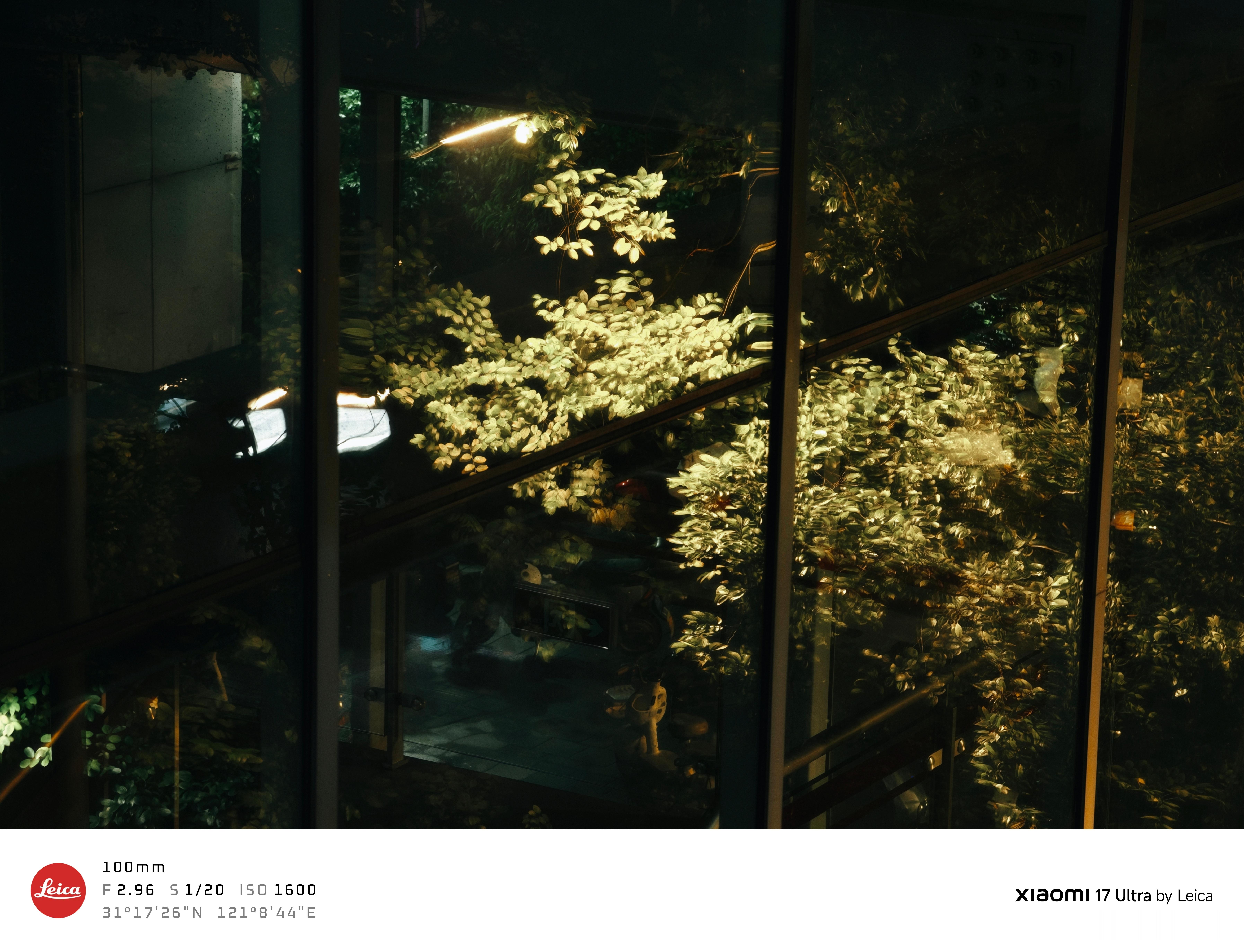 “雨夜借走所有颜色，却在玻璃上还回一抹绿意” 上海