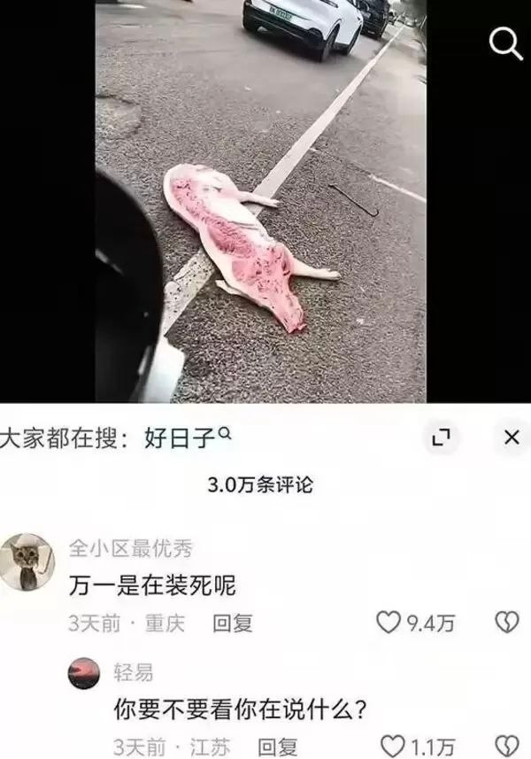 万一呢 