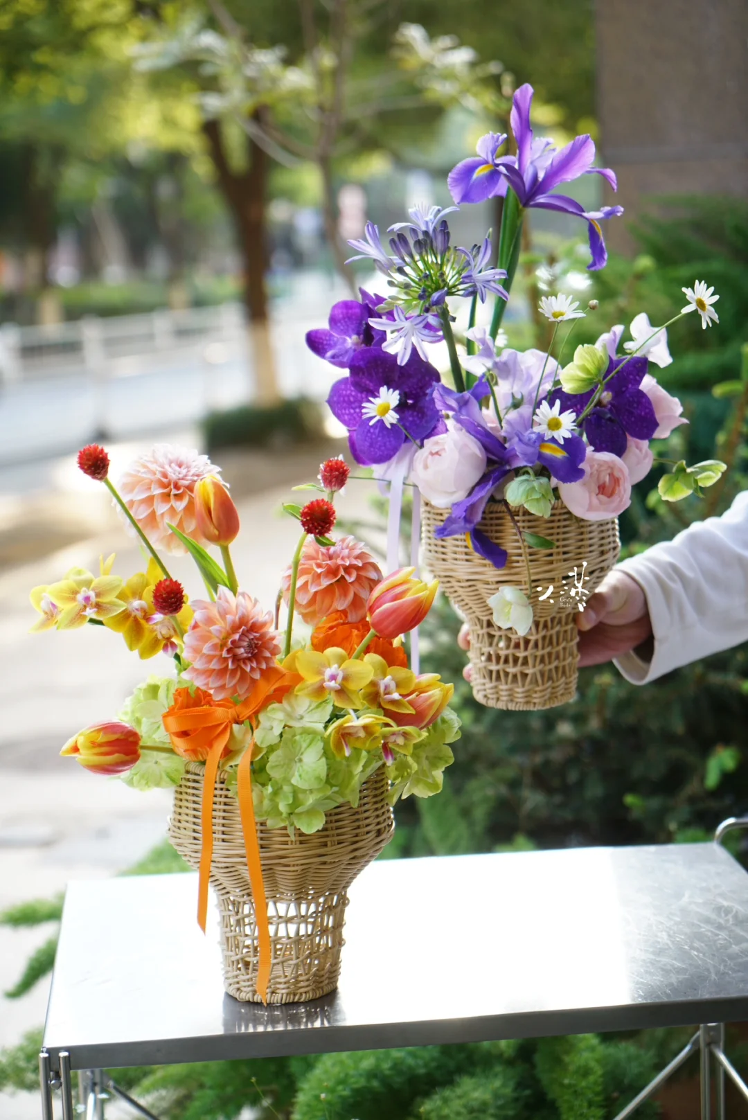 盛满一杯春光，来召唤春天｜3.8女神节