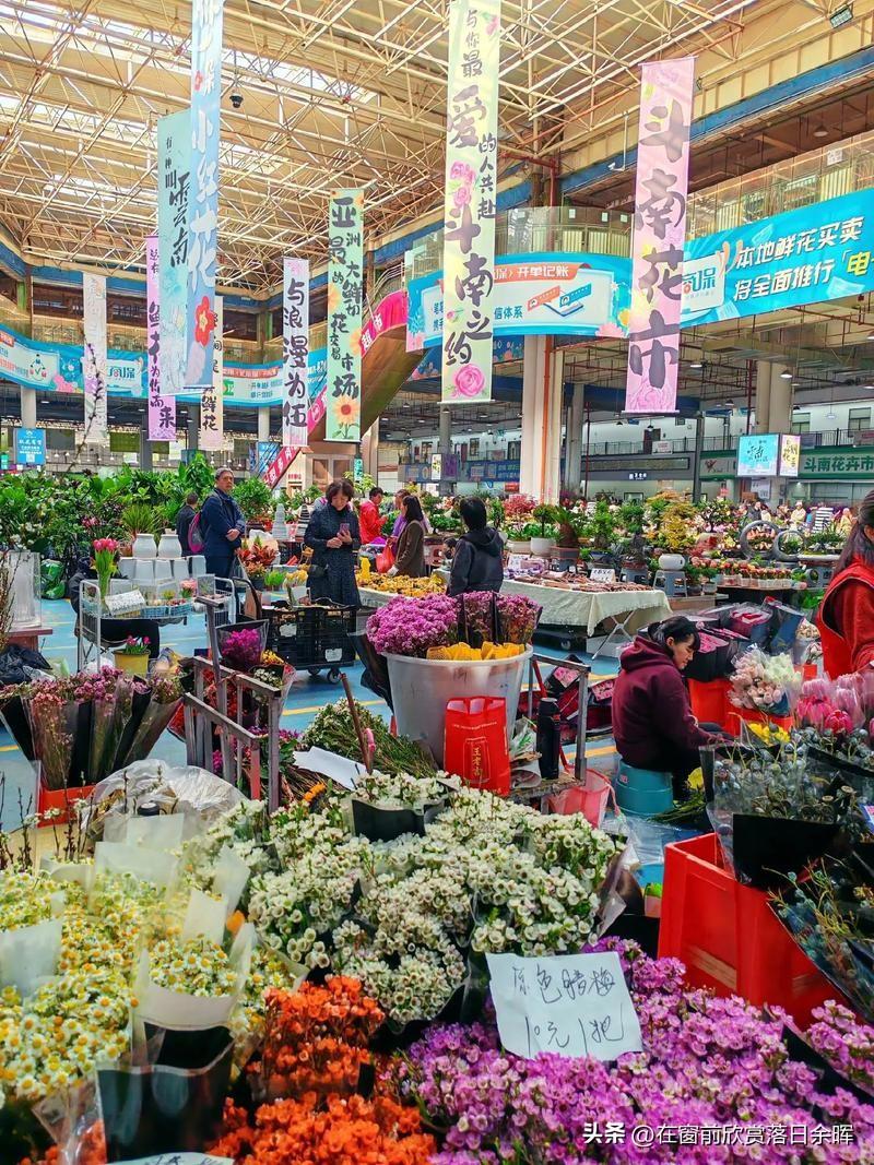 早就听朋友说，昆明的斗南花市，犹如花的海洋，各种各样的鲜花琳琅满目，层层叠叠香水