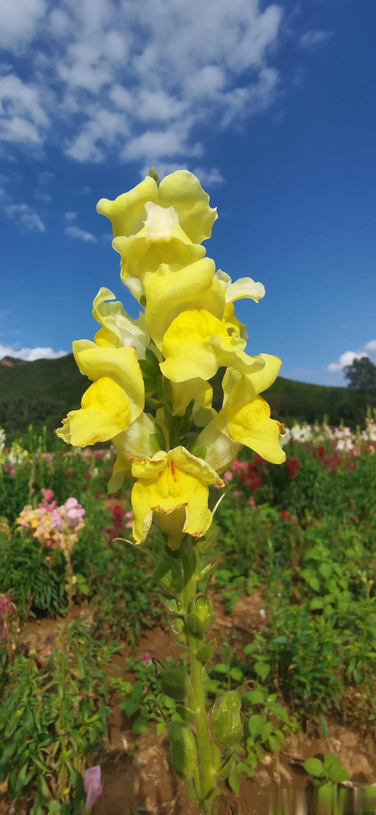 #分享相册里的天空##发现天空的美＃#