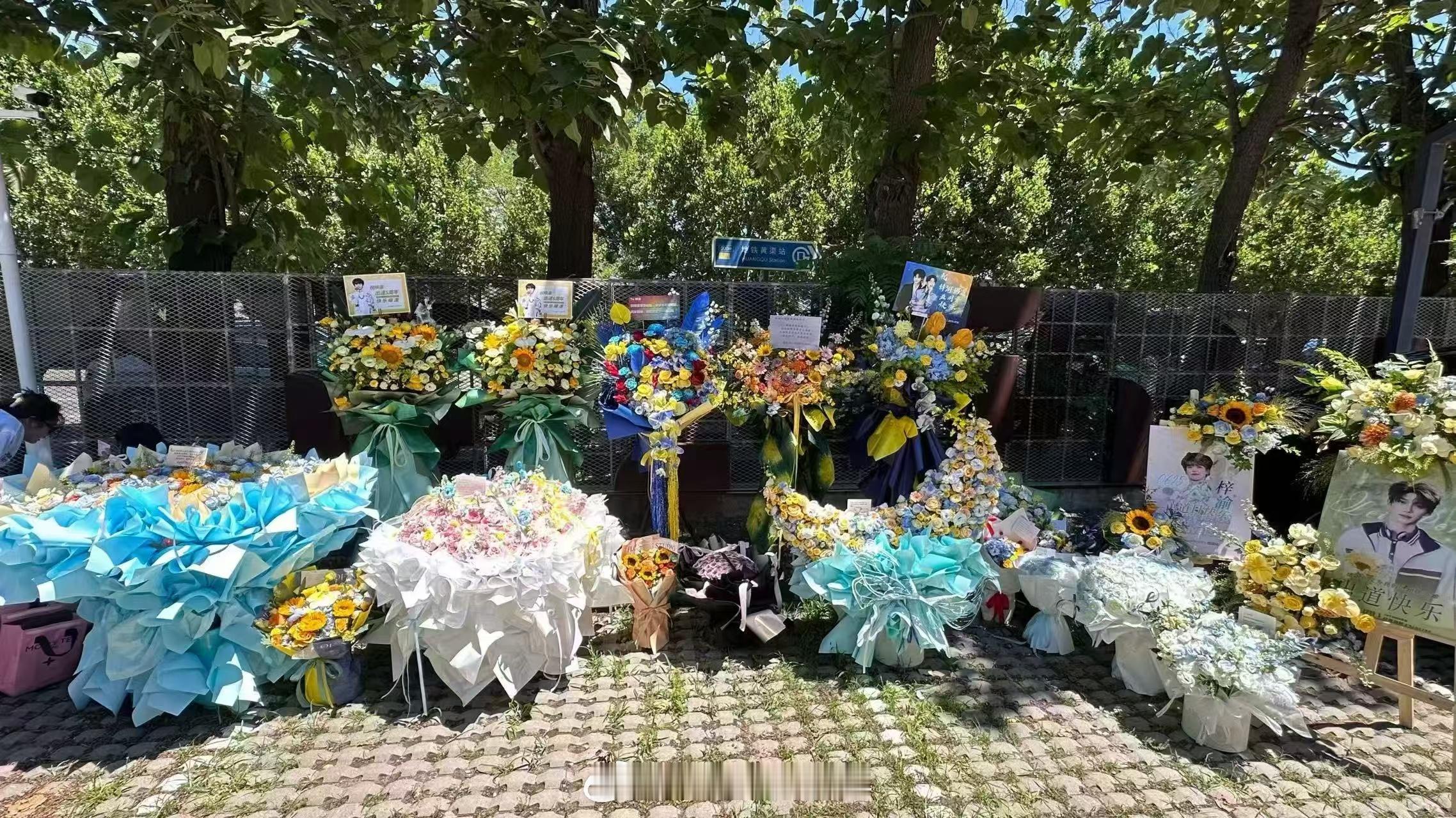 梓渝出道五周年应援花束甜玉米的审美超级棒真的好漂亮呀米米超级棒！ 甜玉米给梓渝出