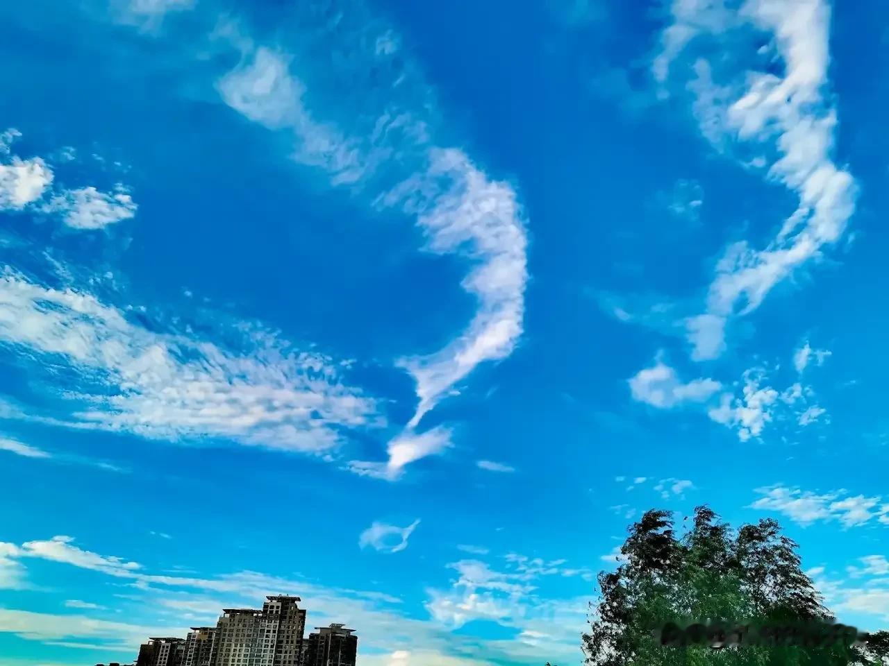 一一天空的云彩

一一像一幅美丽的画卷

一一云卷云舒，天高云淡

一一【原创摄