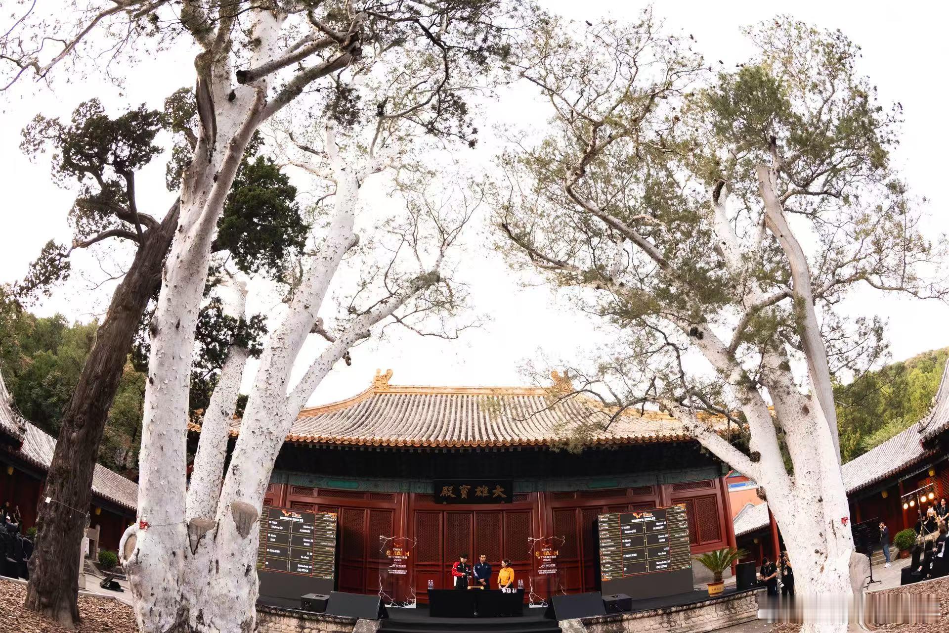 国乒球员在法海寺的快乐体验抽签现场，选址很有意义。wtt抽签和拍冠军合影的选址一