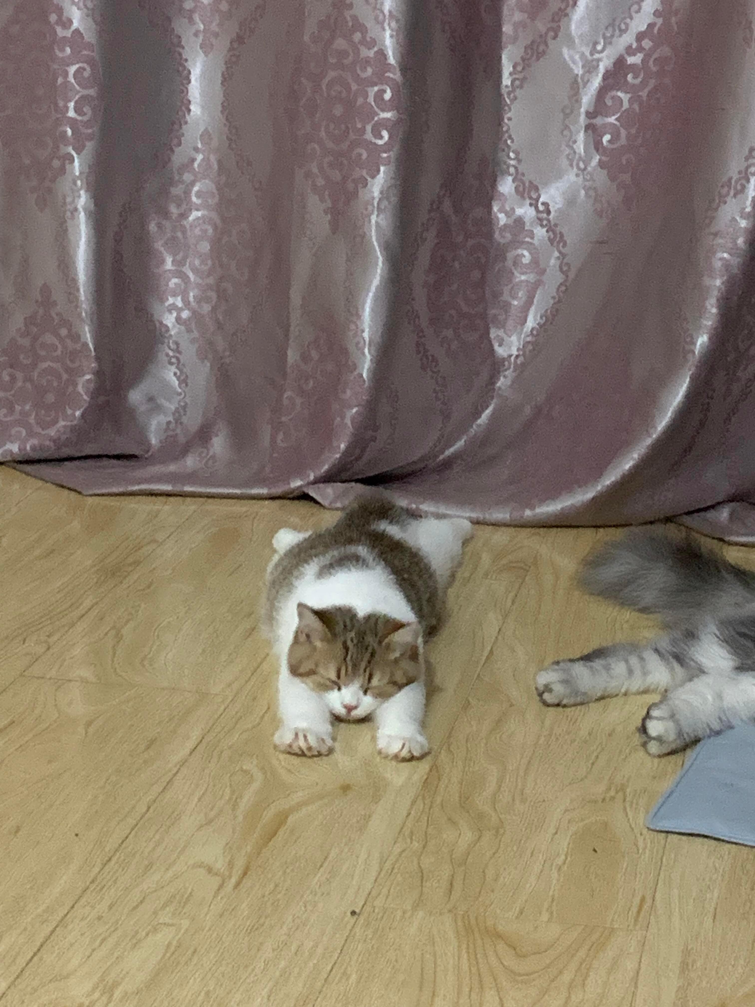 宝宝你还有什么睡姿是妈不知道的 ​​​