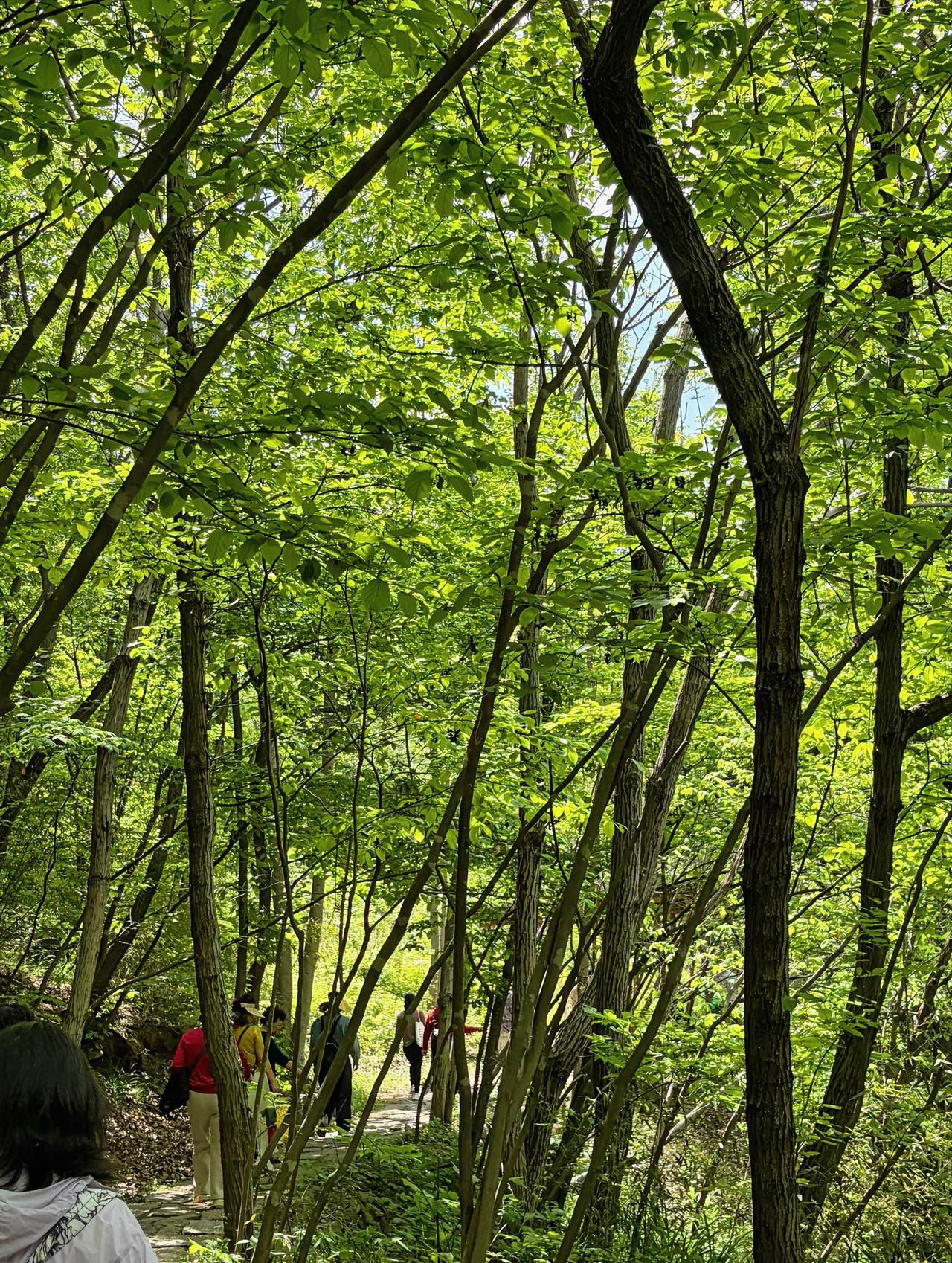 奉劝大家，人到中晚年，每年一定要做一次全面体检！真的太重要了。

去年10月，我