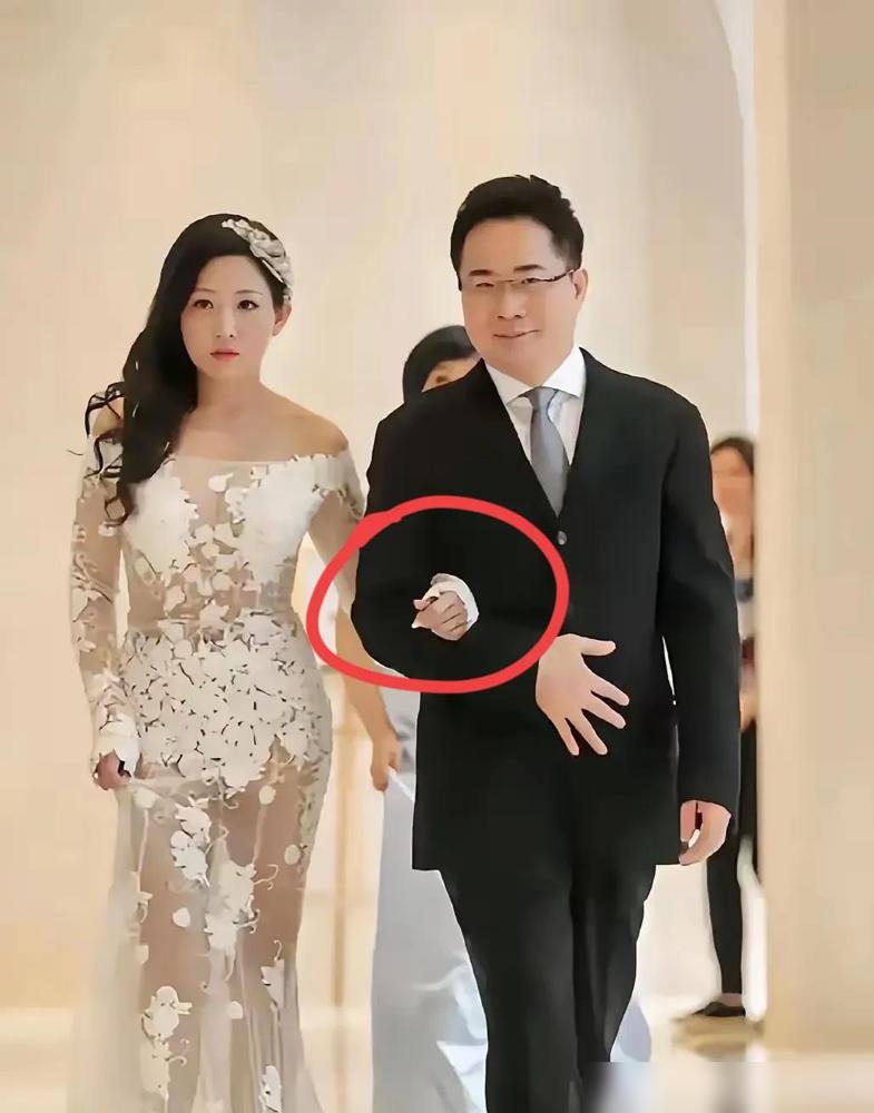 患难见真情！2017年蔡正元身陷政治风波被羁押，怀有身孕的洪菱霙挺着孕肚独自面对