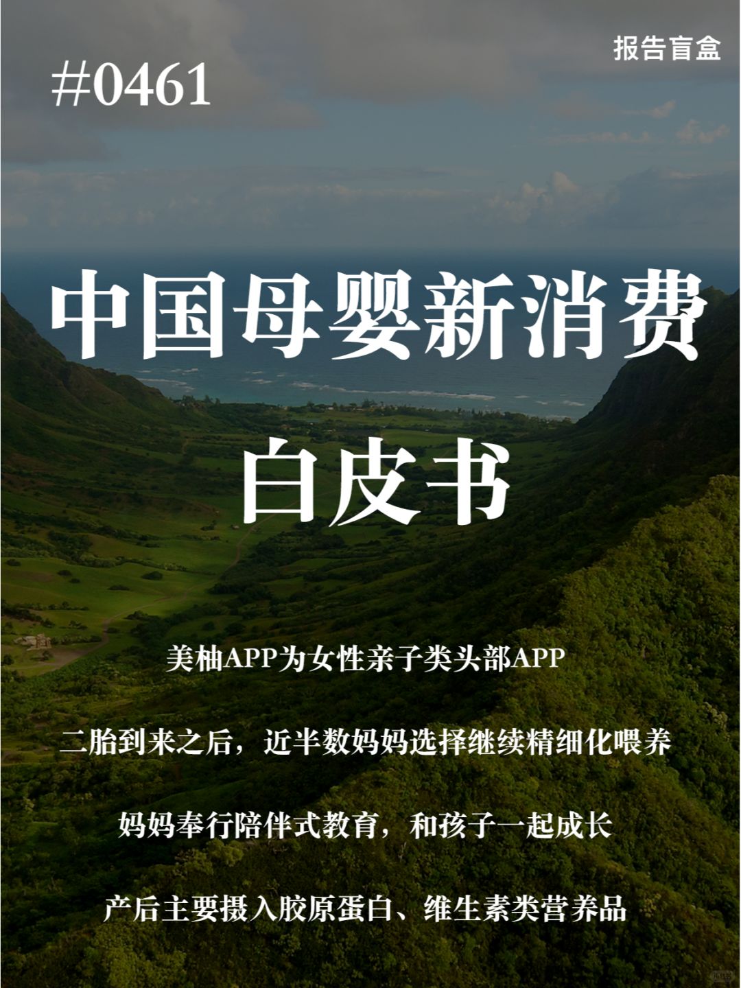 | 中国母婴新消费白皮书