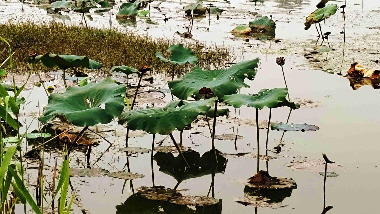 我的今日状态：😁轻松愉快
我这里的天气：☀️晴天