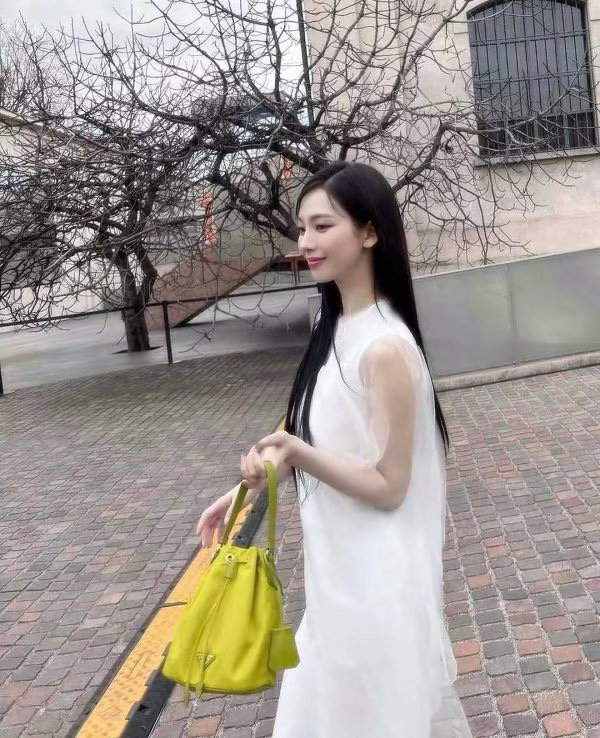 请柳智敏粉丝找一个和柳智敏一样的奢牌全球代言人：1.代言近两年仅拍过一次所有广告