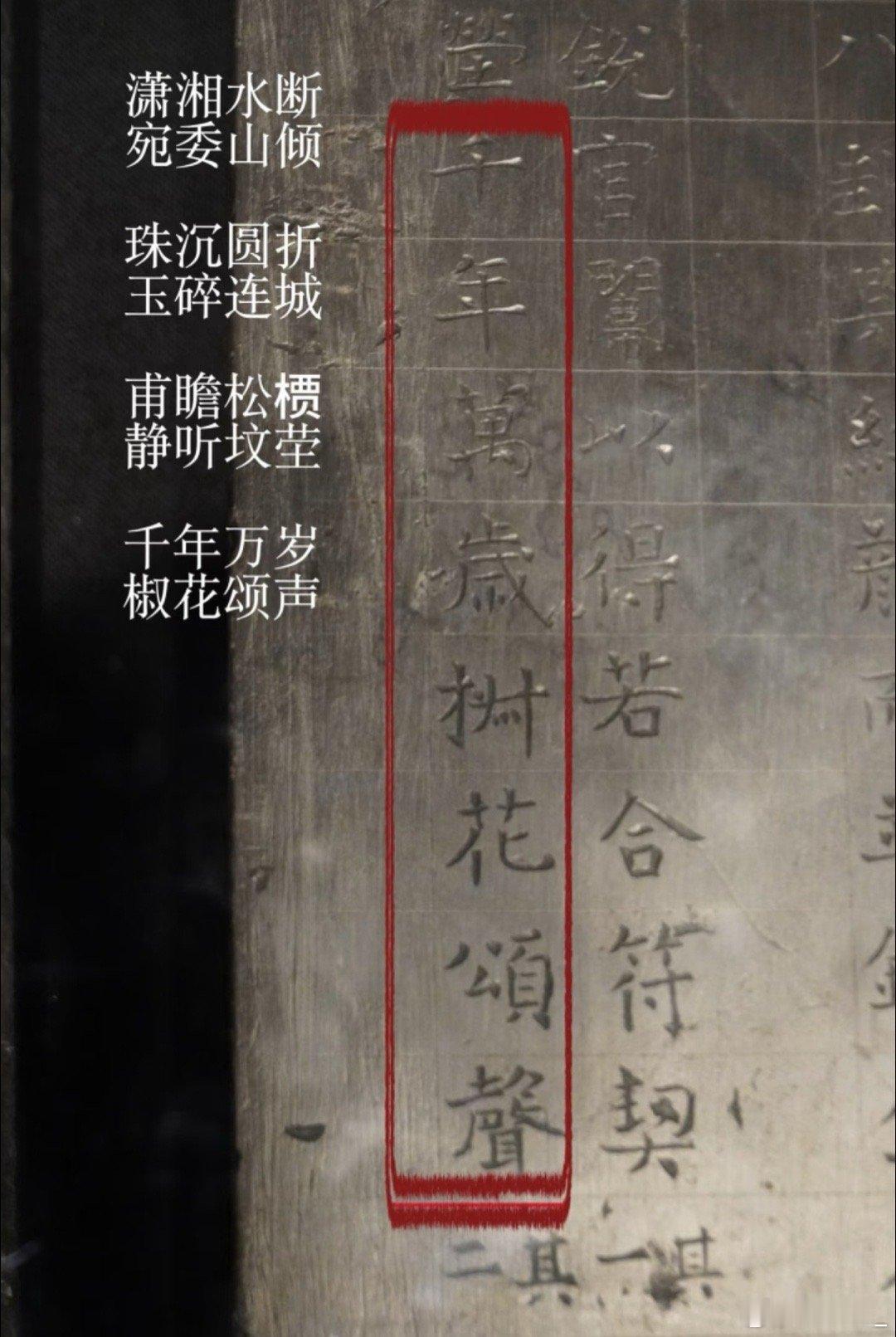 唐诡3拍出了宫廷中女性之间惺惺相惜的情谊！！ 