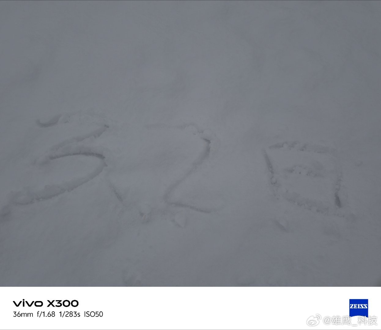 vivo 你能想到吗？瞧这眼前，皑皑白色肆意铺展，那是雪独有的梦幻之色呀！本以为