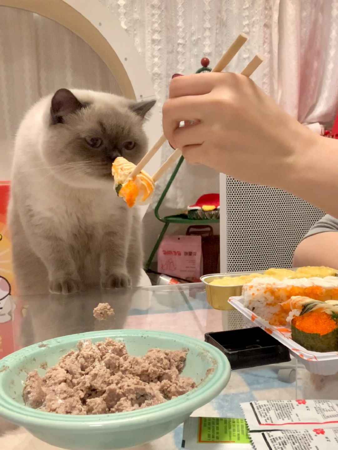 没有比它更馋的猫了吧