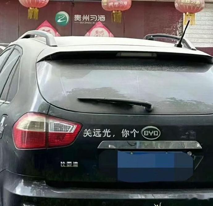 哪来这么多“谐音梗”？还是各位新能源车车主有才。[允悲]#新能源汽车# ​​​