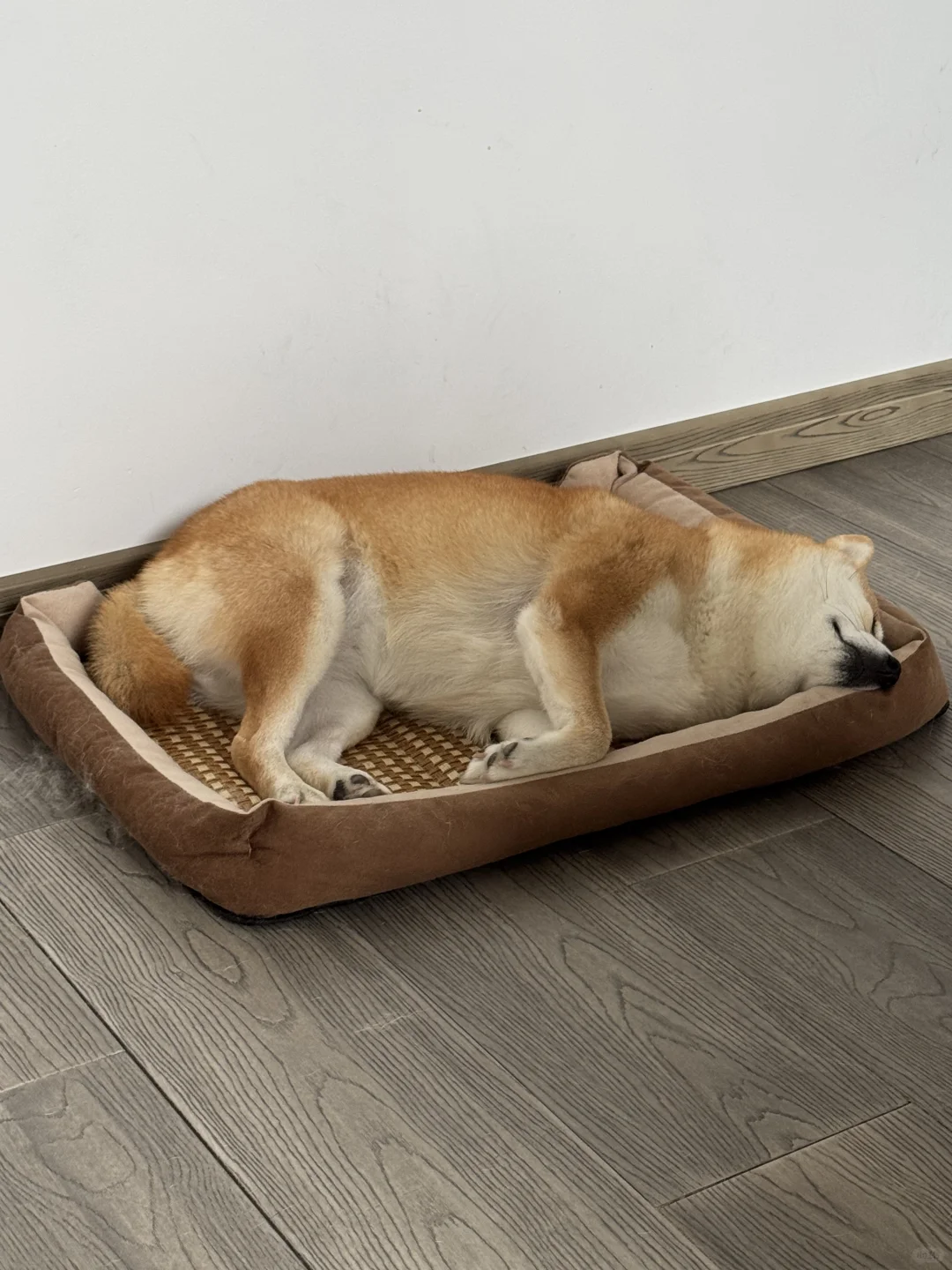 一睡就是一整天～