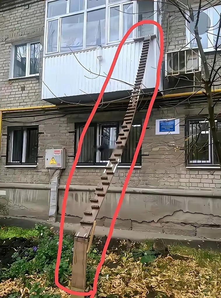 活久见啊！这搭的楼梯能走人吗？ 