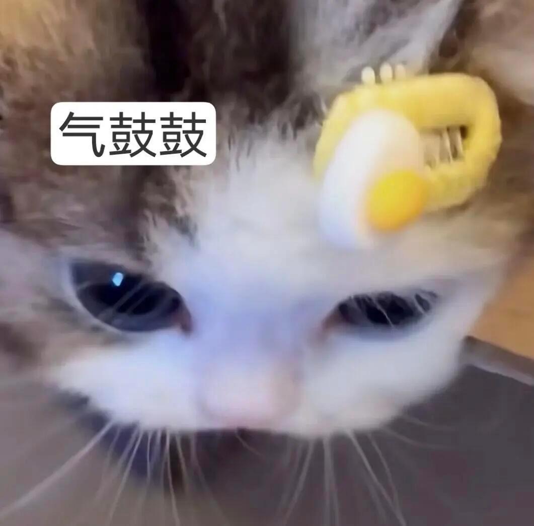 吴宣仪叶星星wxy吴宣仪辛凌 咱昨天这超莱克跟发萜还有今天的超喜欢底数就在这里哟
