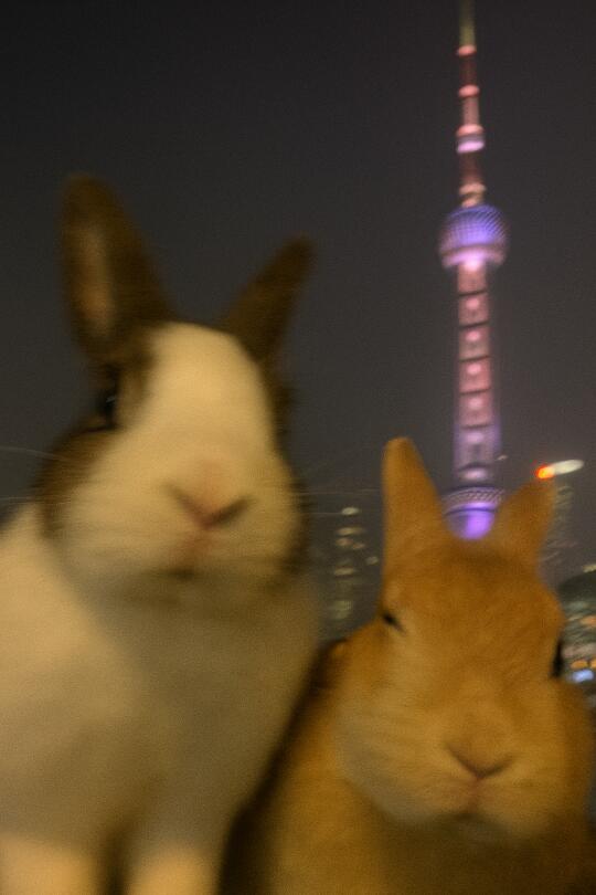 还有谁五一节没有粗去玩