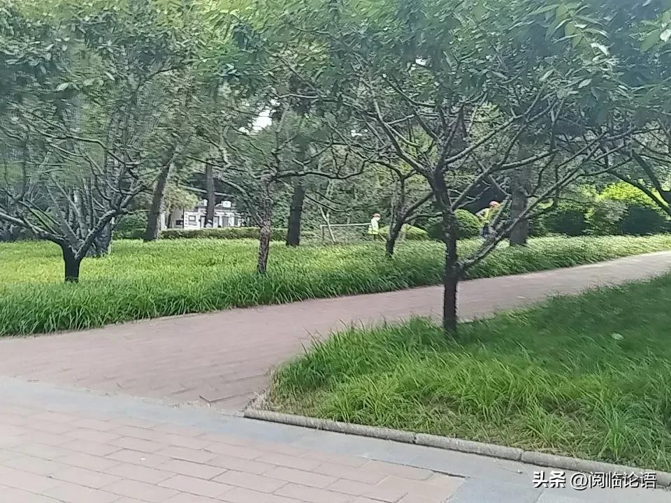 严把商品质量，诚信经营，利润合理有度，关心员工的工作待遇和生活，这些本来就是毛泽