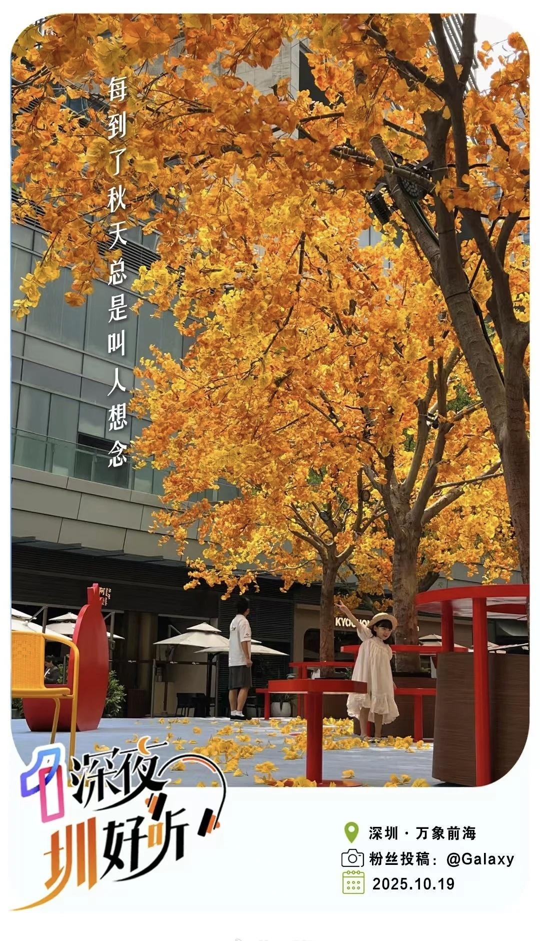 【晚安计划！广东的冷空气到哪了】深圳人千呼万唤的冷空气正在派送中 开始想念秋天了