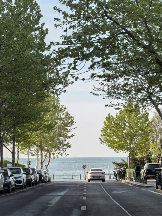 5.3青岛栈桥景区早七点实况 好多聪明人