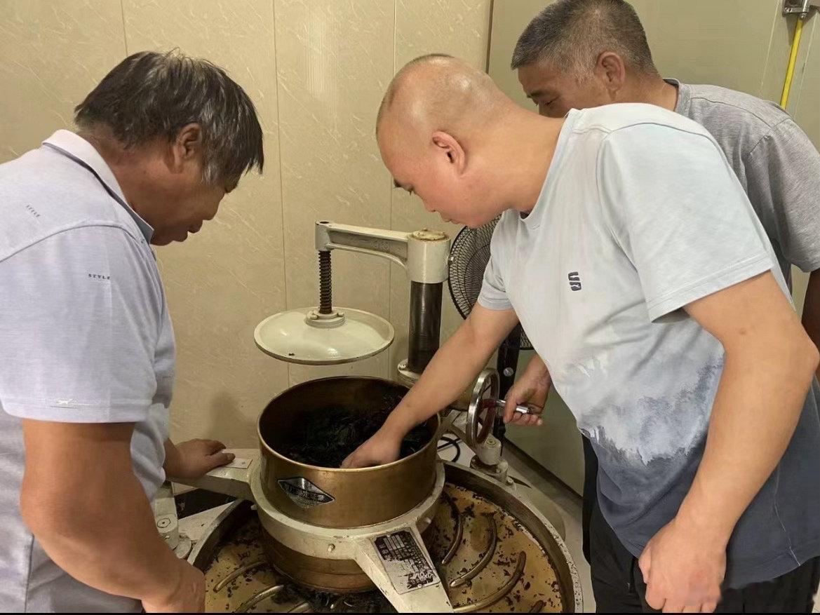 台州银发专家走进田间地头助力春耕天台南屏乡退休老干部走进麦田菜畦，现场解决育苗、
