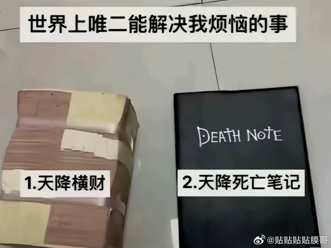 嗯没错 