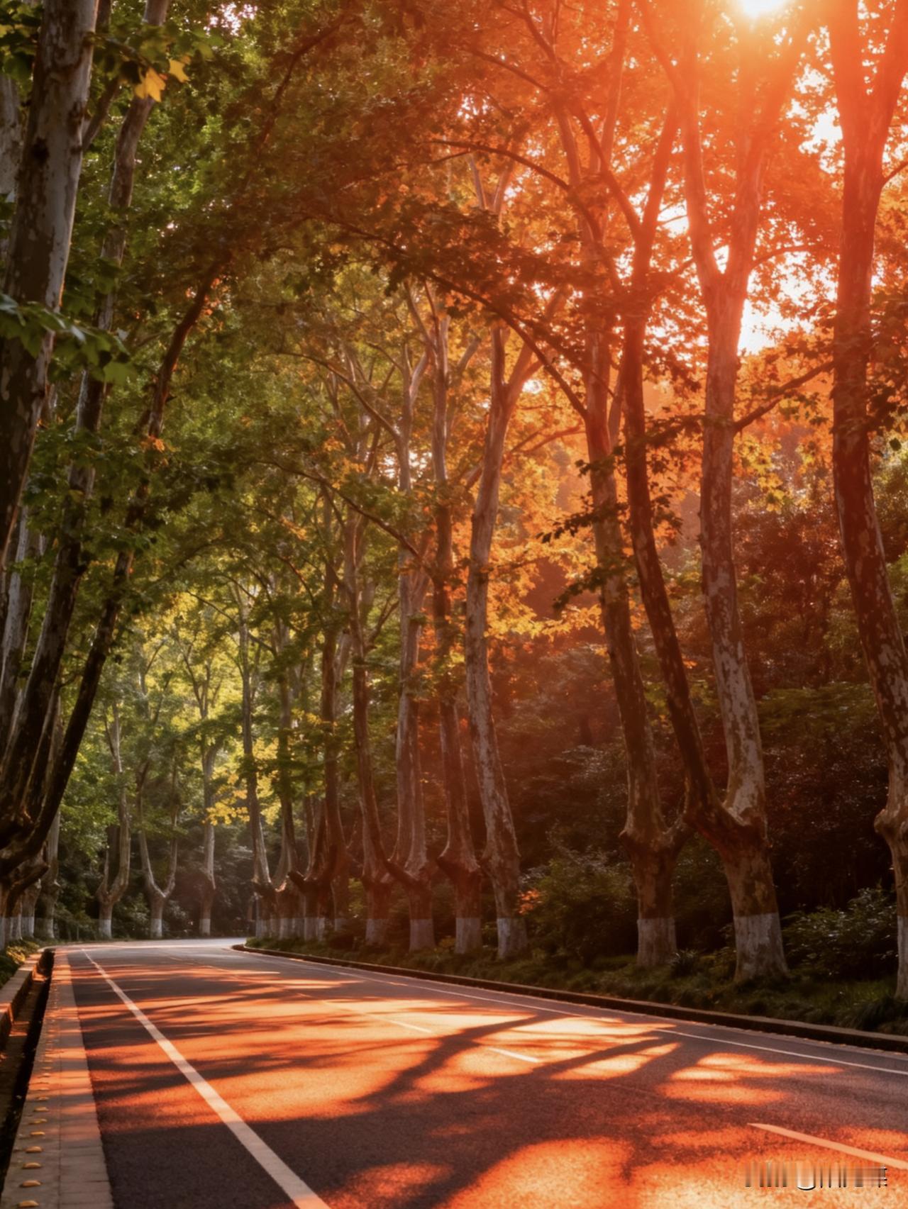 刚刚头条刷到一篇帖子，这位作者是这么说的：有的网友脸皮可真厚啊，不断地给我发私信
