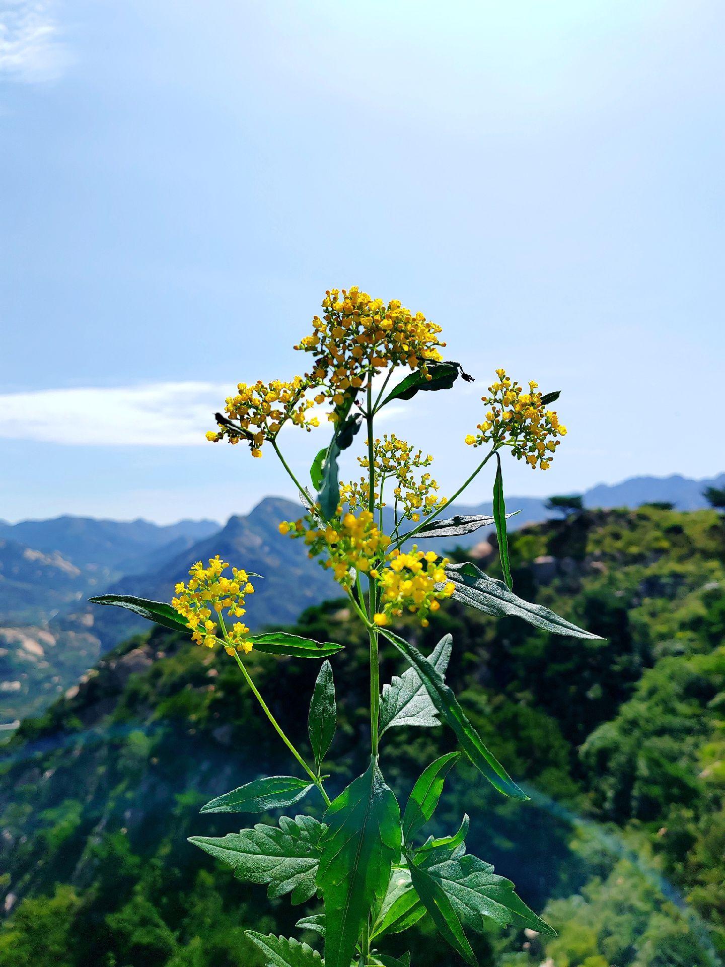 当你把自己的精神寄托到某一个人的身上时，就是人生灾难的开始，因为人是会...