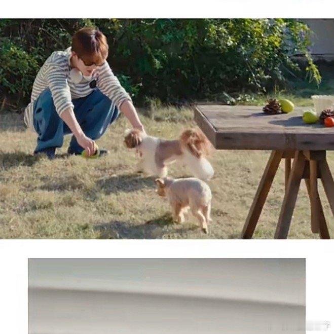 檀健次三只单身狗三只单身狗？檀健次这是要转型成狗粮精了？