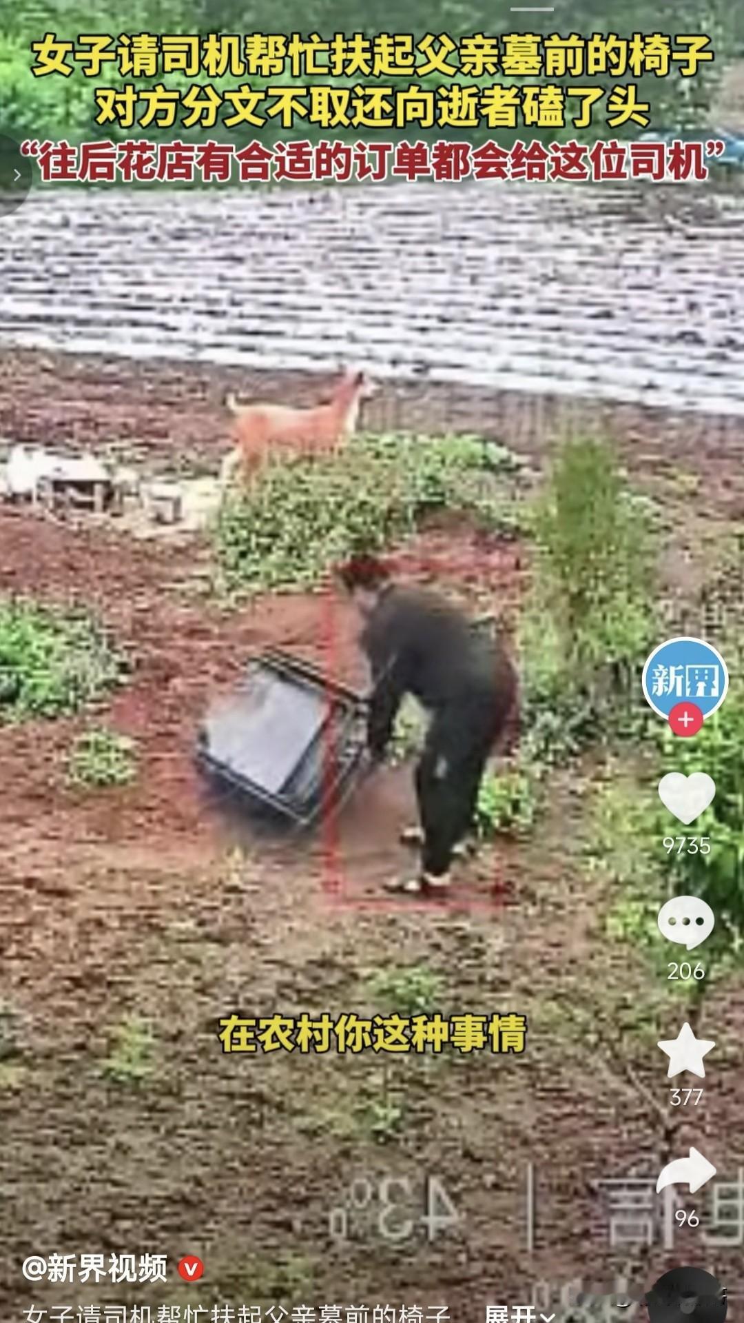 近日山东一女士向记者爆料，她在监控中看到自己父亲坟前一把她父亲生前很喜欢的椅子倒