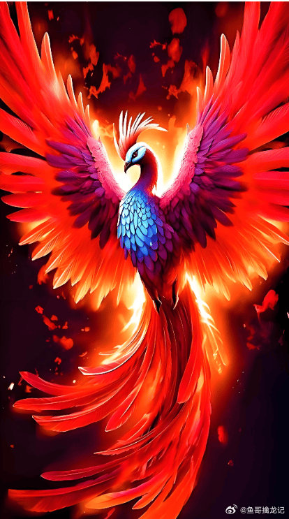 6月24日开盘预期：外围情况是不好的，美股半导体和科技都是大跌的，韩股早盘做的小