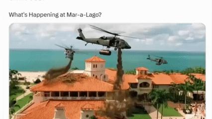 要论整活，还得是美国人。特朗普带头，其他人自然不甘落后。

针对特朗普发布的自己