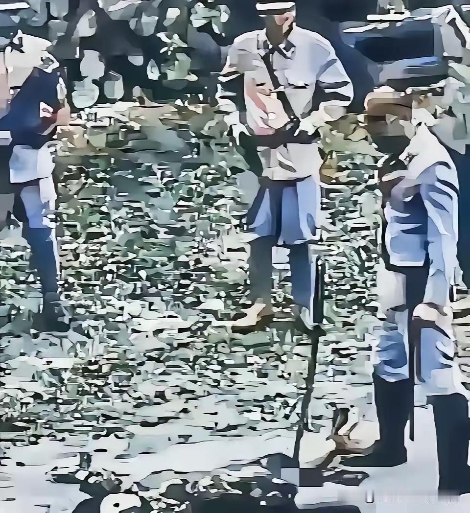 1937年，日军占领南京，发动南京大屠杀。一名身姿高挑、容貌清秀的女大学生，被三