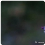 《欢乐颂5》中的朱喆突然接到了前男友的电话，听对方的意思就是想要跟她复合，以结婚