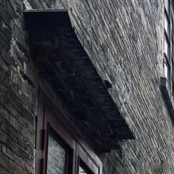 每日一善世界上没有完全相同的两片树叶。每个人都有自己的想法观点，难免从自己的立场