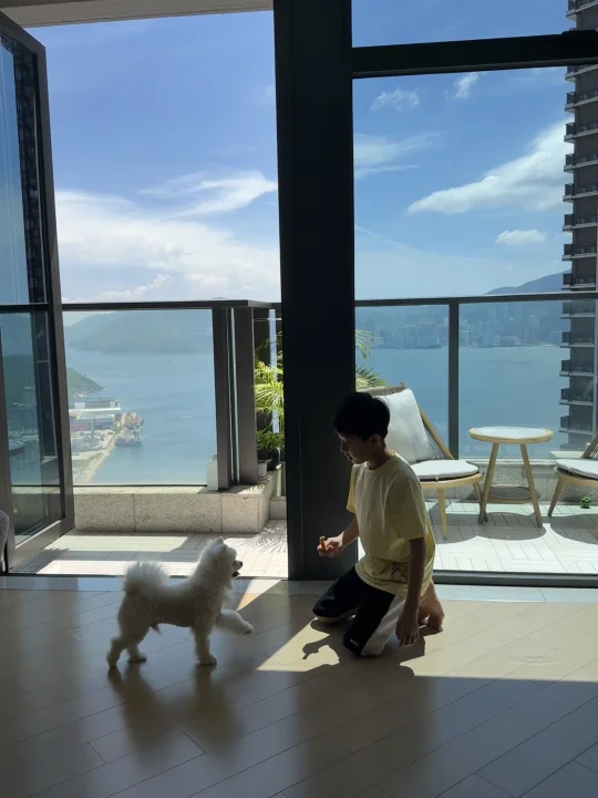 香港生活｜阳光正好的周末☀️