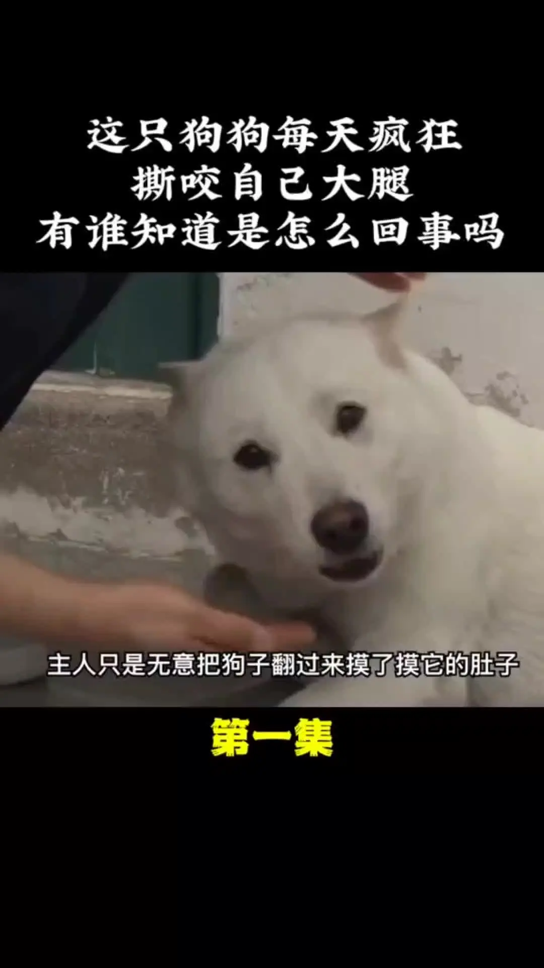 建议大家2025年都去做一个自媒体帐号，哪怕只有几千粉丝都行，不用团队...