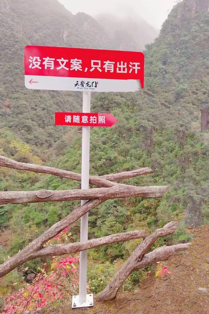 踏入天脊龙门，仿若踏入仙侠世界。

入口处，山峰对峙，石门天成，“天脊龙门”四字