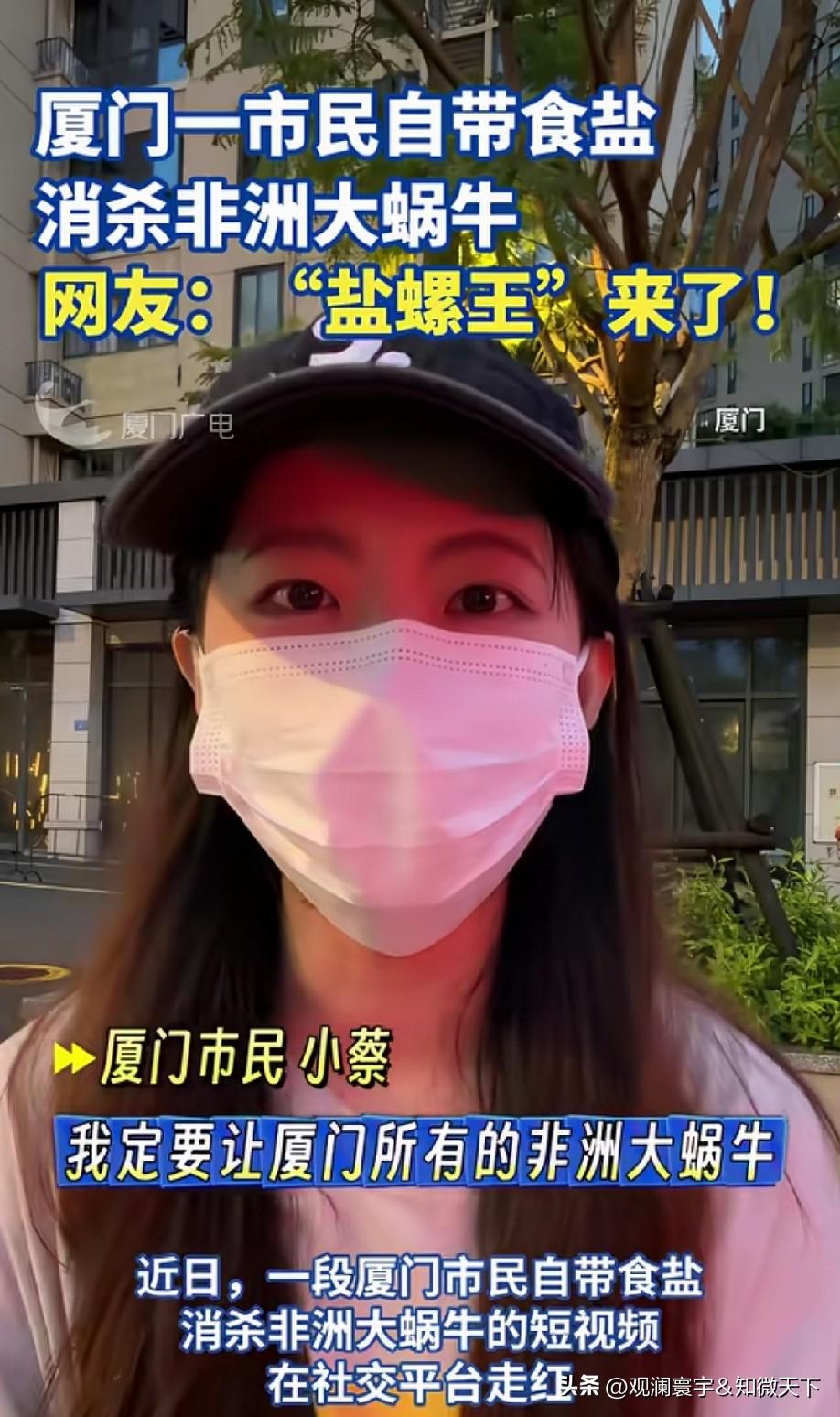 不需要盐，一砖头的事！