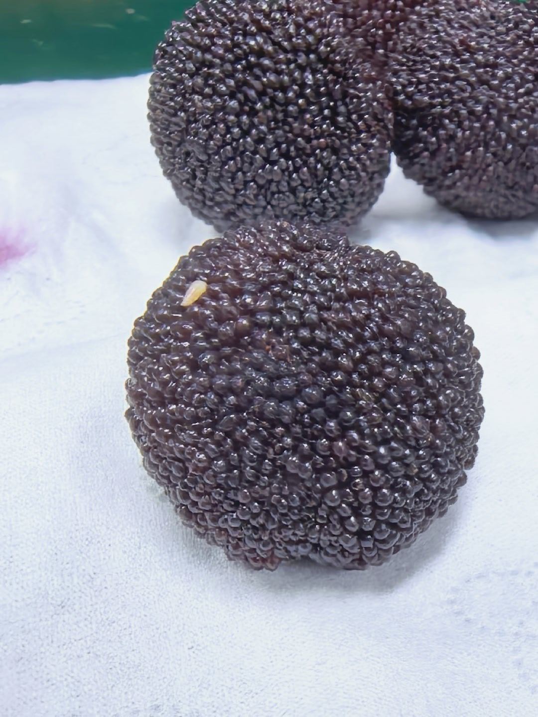 突然蹦出条虫虽然是高蛋白，但还是挺恶心 
