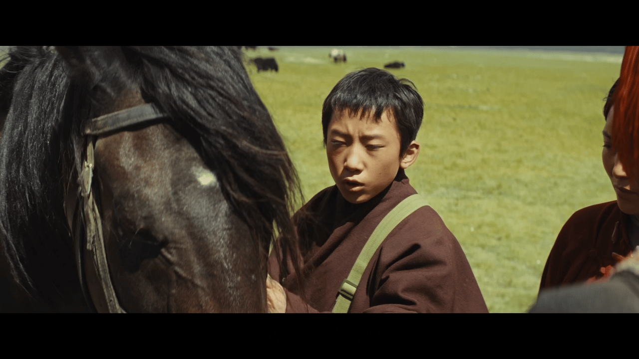 第一次并肩作战竟是为了卖掉你 藏地的温柔太动人🥹扎西忍痛卖掉炯喜，第一次并肩作