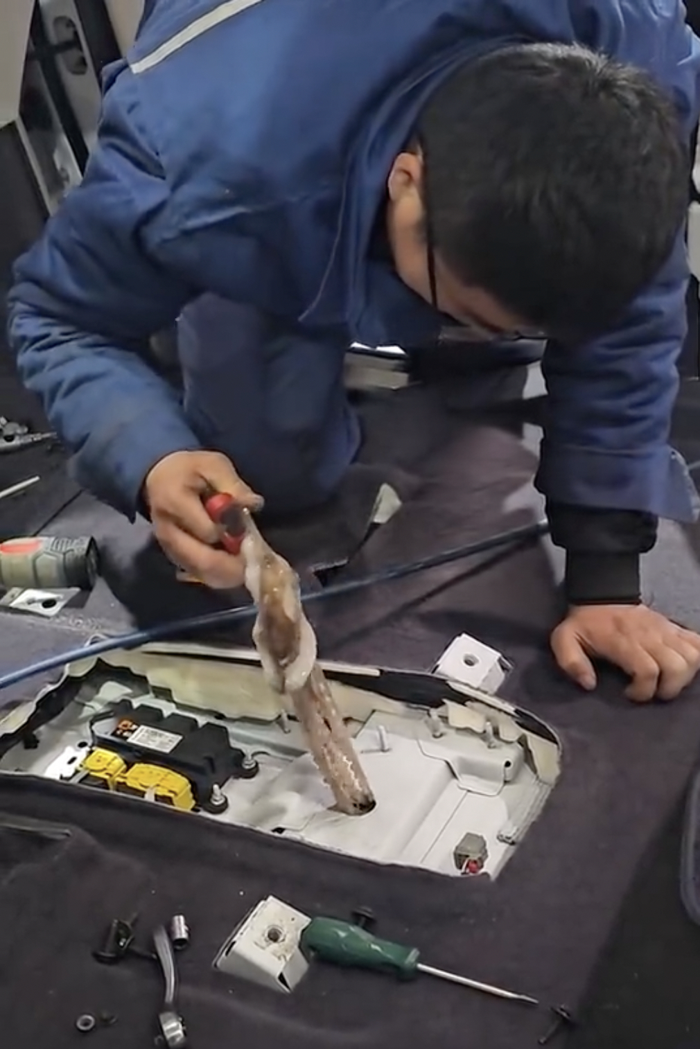 钻车内3天八爪鱼差点把师傅熏吐 隔着屏幕都能闻到一股腥臭味