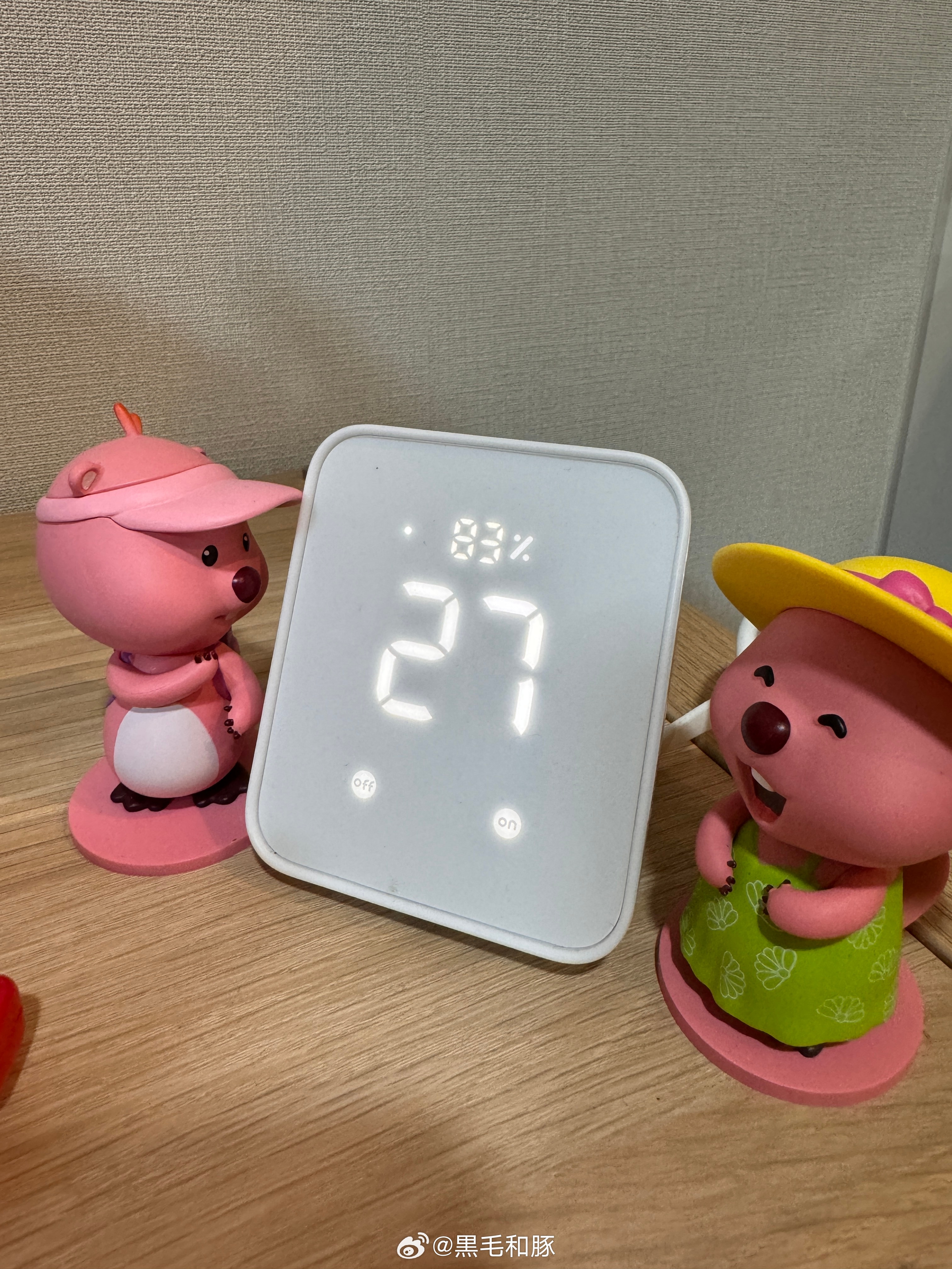 这湿度的确很离谱 但其实本南方人体感还行…… 开抽湿也就只有一点点效果 这大雨为